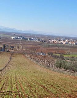 CAMINANDO POR LA PAZ